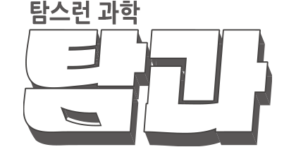 탐과